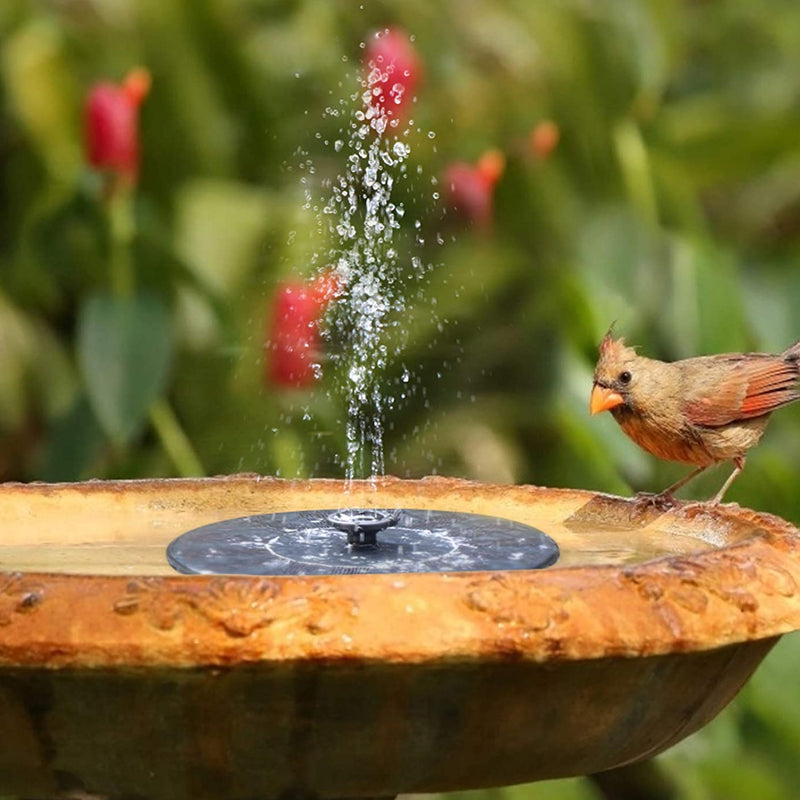 Mini solardriven vattenfontän