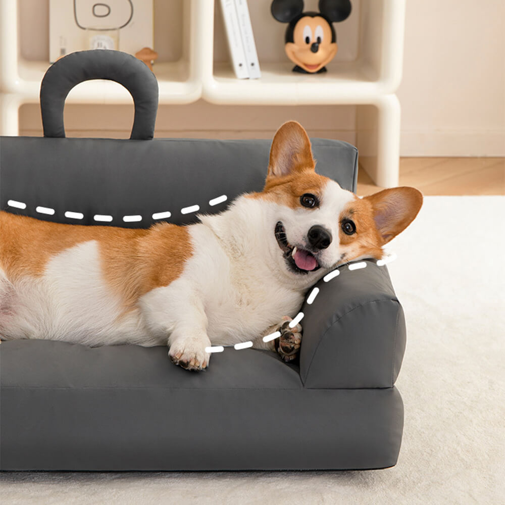 Elevated Pet Sofa Bed Stilig Vattentät Ergonomisk Komfort