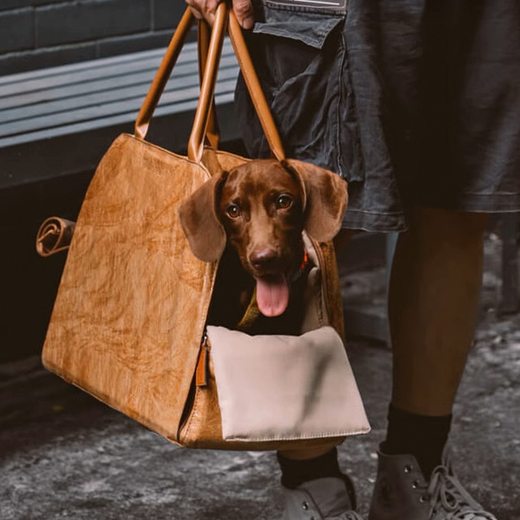 Bärbar Husdjurs Resväska – Lätt, Andningsbar & Säker för Små Husdjur