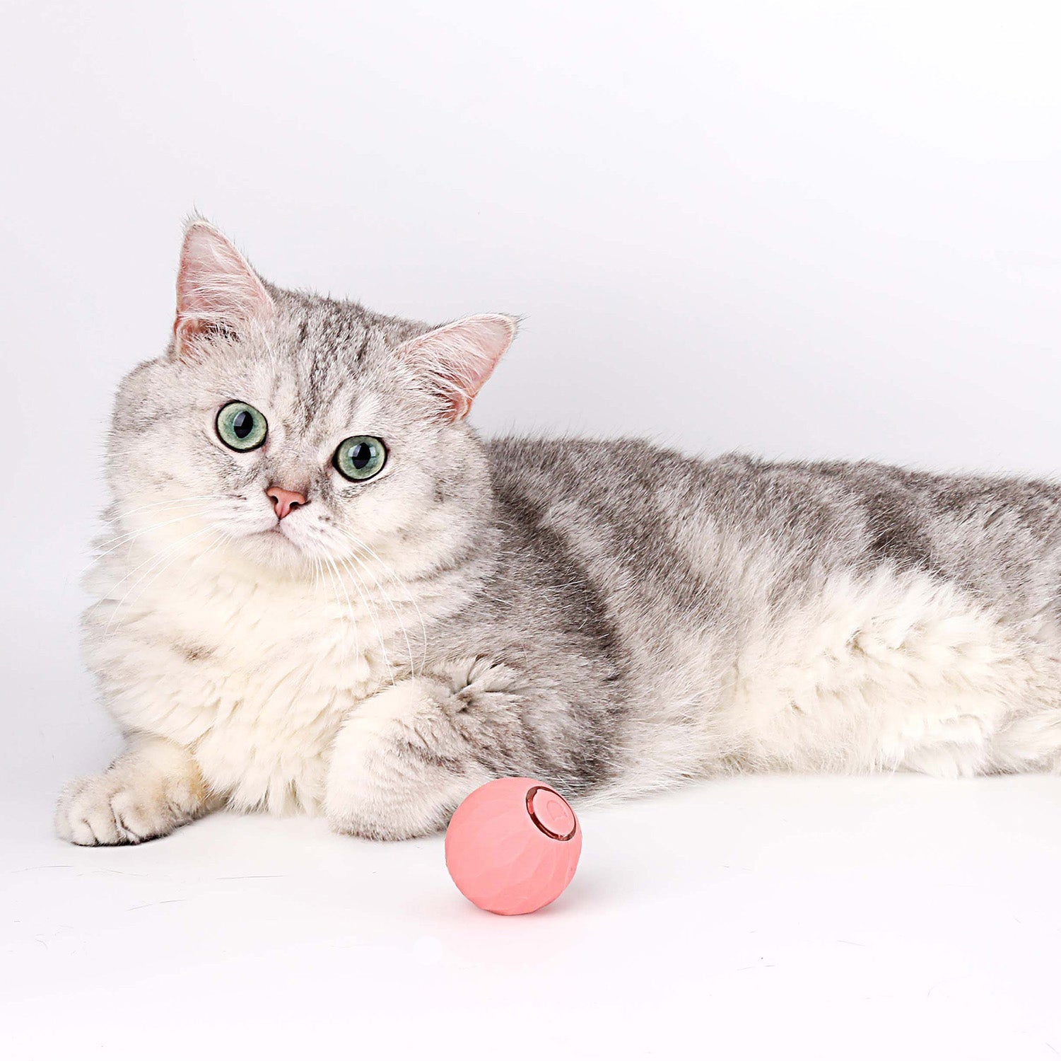 Katt leksak | Interaktivt självrullande boll