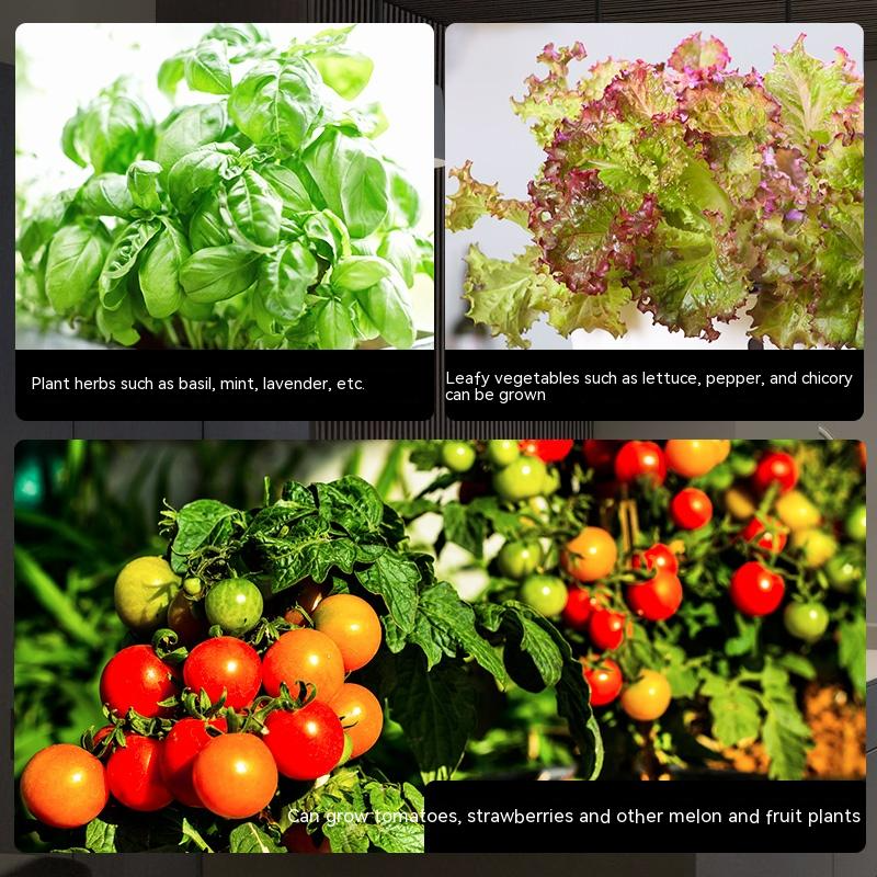 Intelligent hydroponics set för inomhus – Jordfri växtodling för hemmet