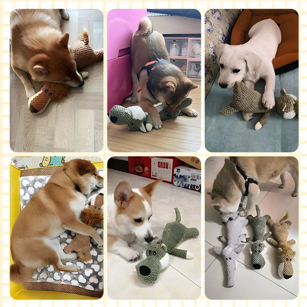 Hund Tugga Legetoy Plysch Hållbar Squeaky Djur