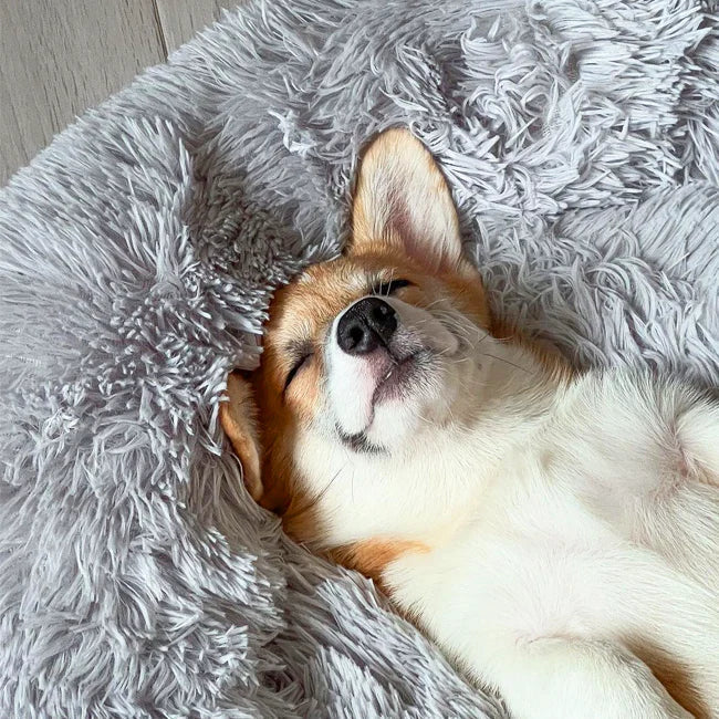 Hundbädd Ortopedisk Pl plush Rund Lugna Boet