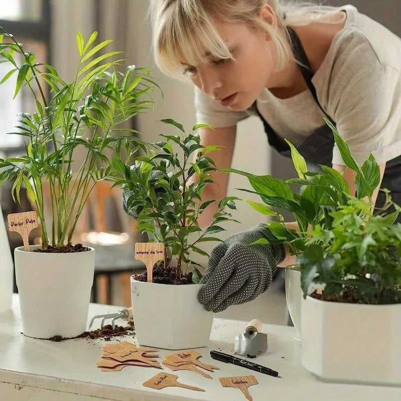 Trädsignalering i trä för trädgård och balkong – Åter skrivbara etiketter för örter och växter