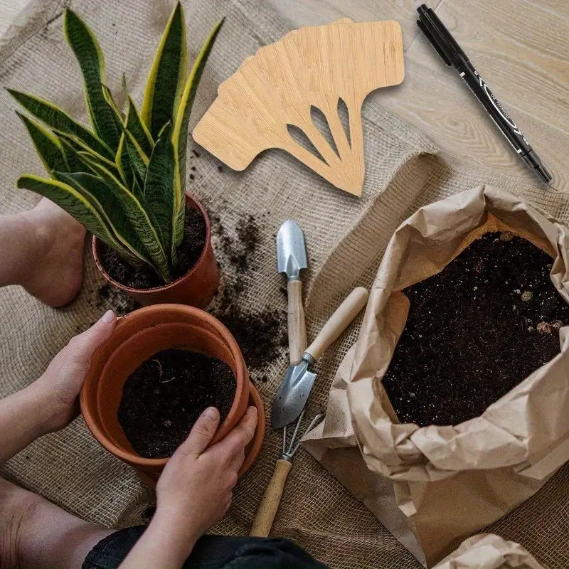 Trädsignalering i trä för trädgård och balkong – Åter skrivbara etiketter för örter och växter