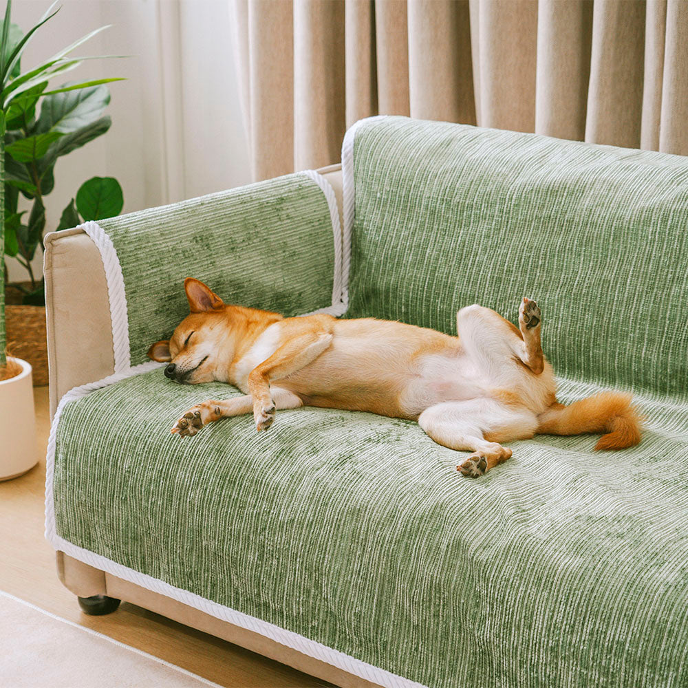 All-Season Antislip Randig Husdjur Matmöbel Skydd