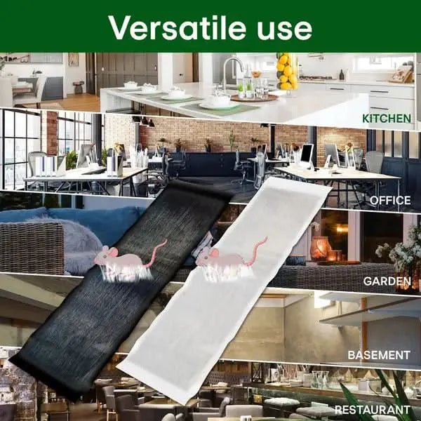 Carvallo – Giftfria klisterfällor mot skadedjur