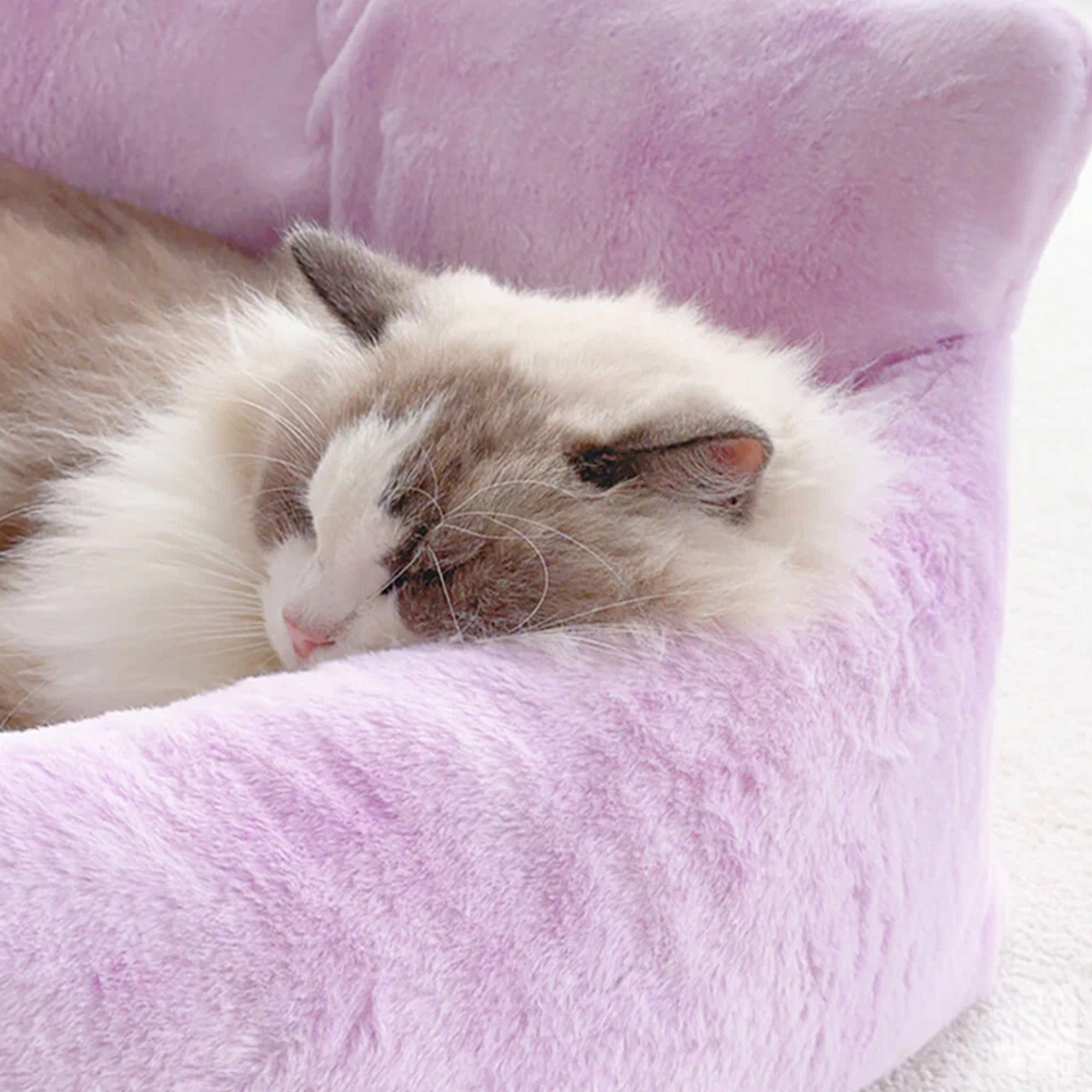 Drömmande Regnbåge Pluch Hundsoffa Säng Ultra Mjuk Mysig Tvättbar