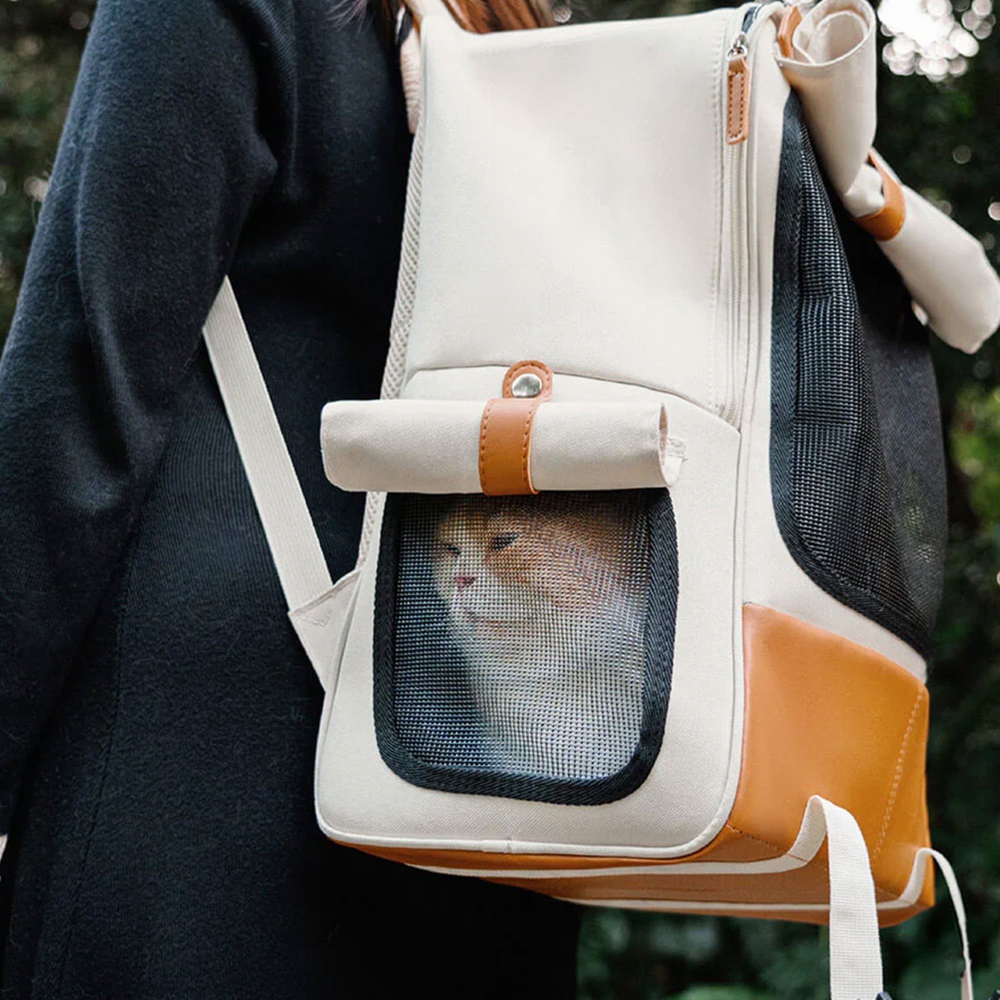 Andningsbar kattryggsäck – Fällbar, säker och redo för resor