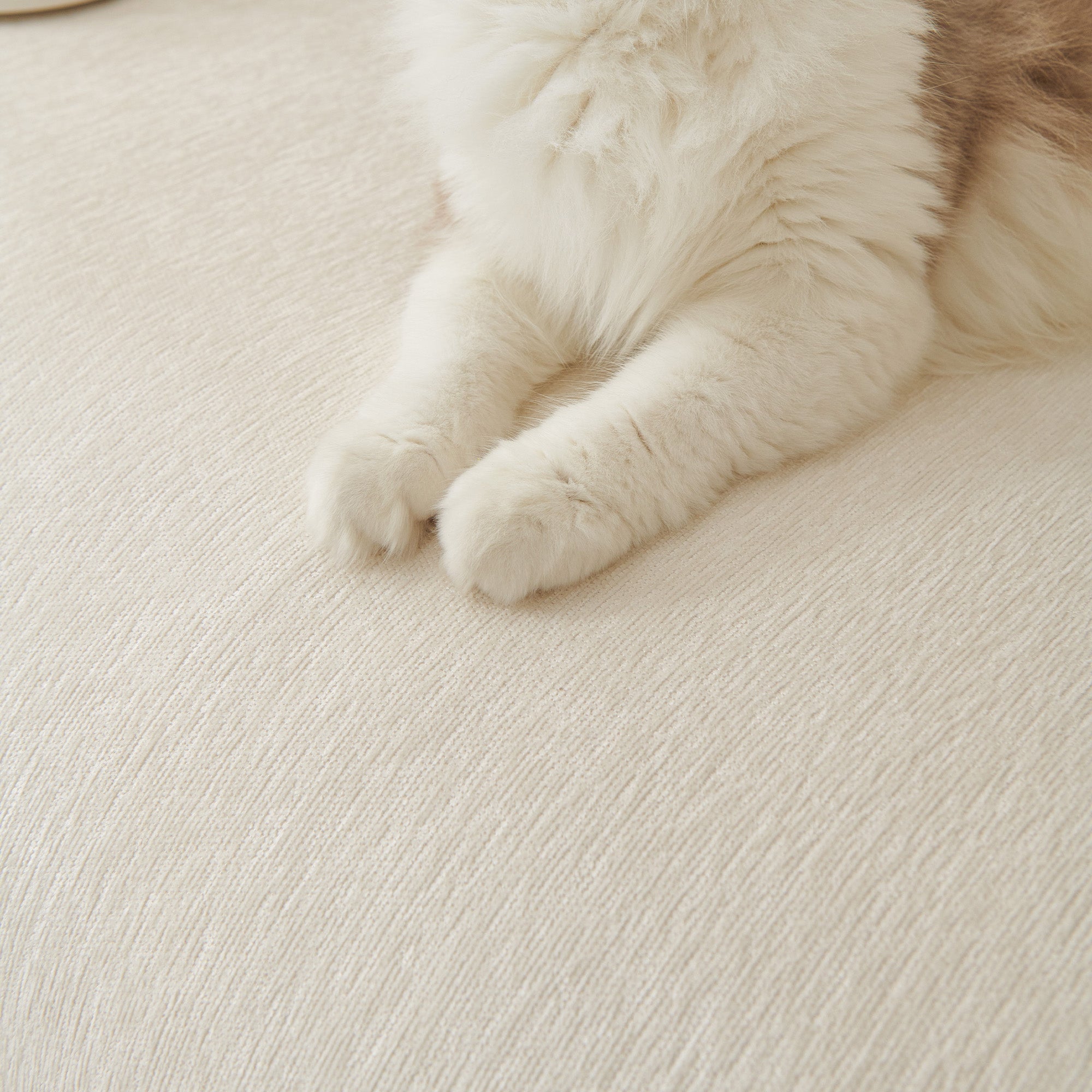 Pure Embrace Sofföverdrag - Modernt, Styligt & Hållbart Soffskydd