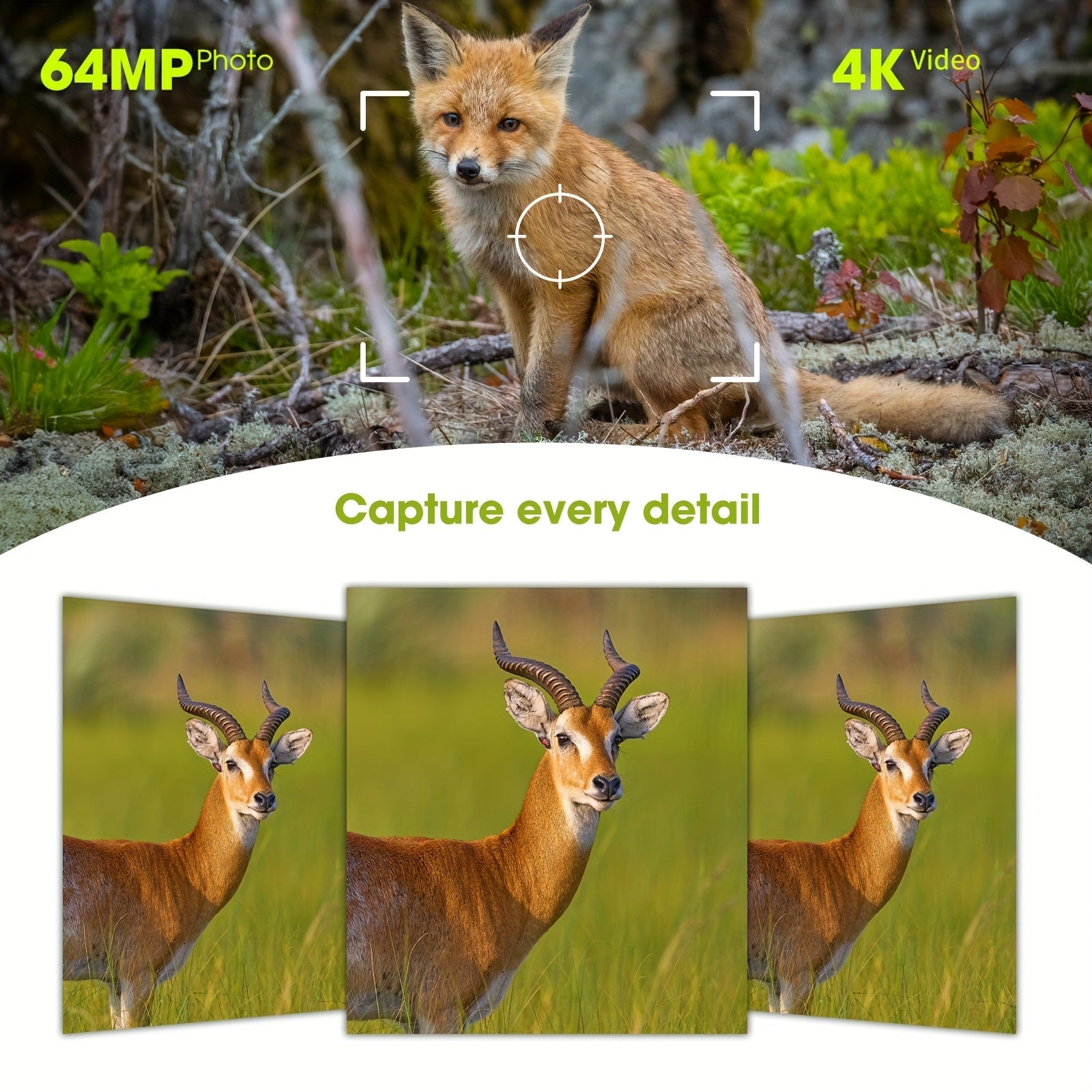 64MP 4K Solär Trailkamera Se Mer Fånga Alla