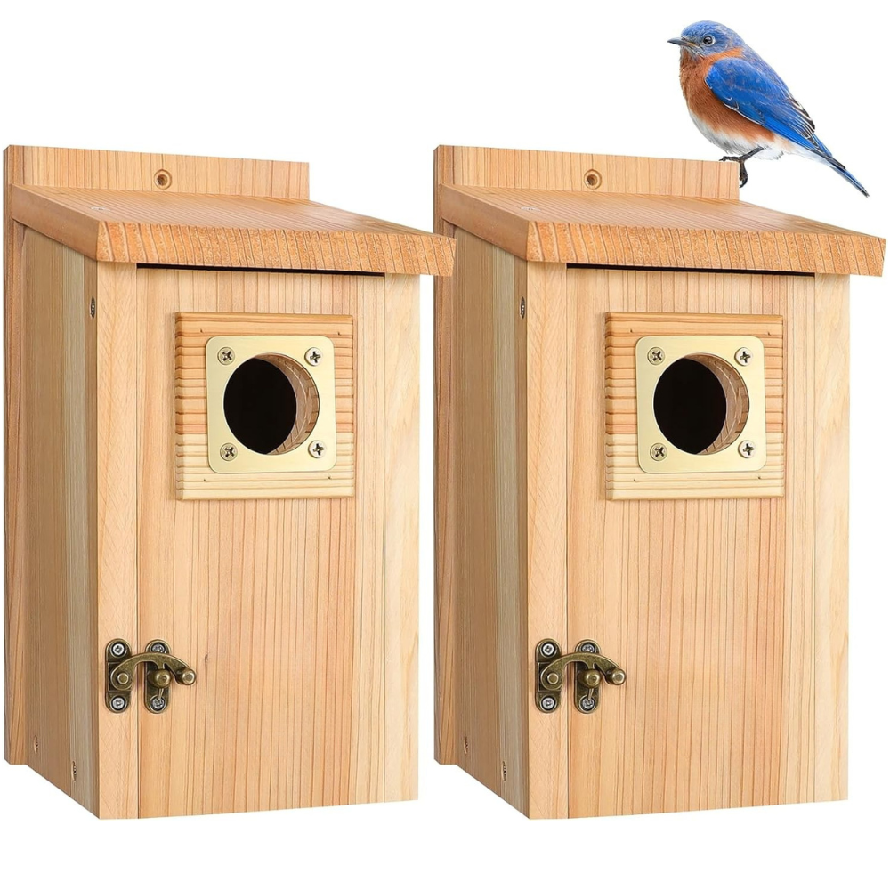 Fågelhus i trä, ceder, kopparskydd