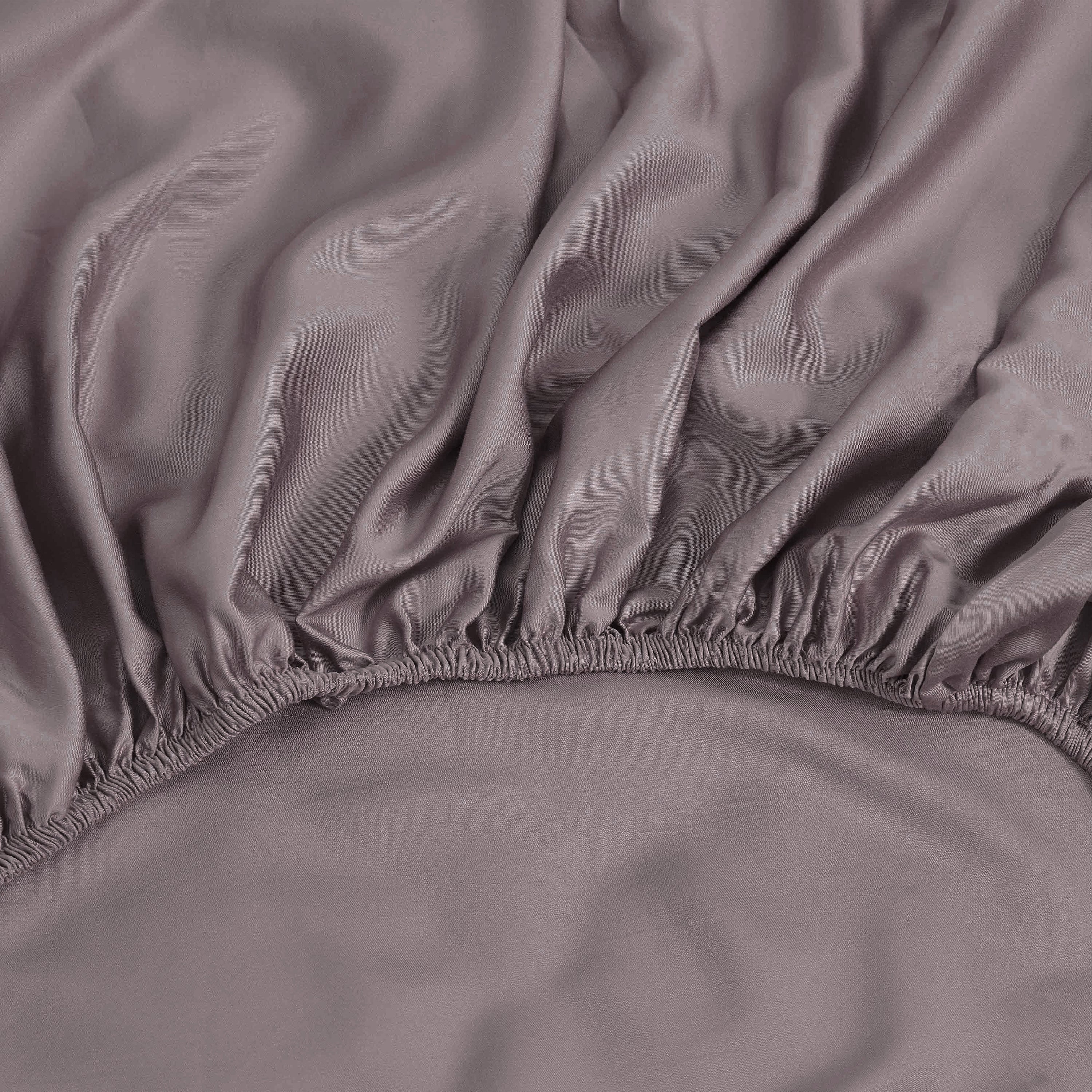 Bamboo Passformlakan - Husdjursrullande för Hundar/Katter Familj