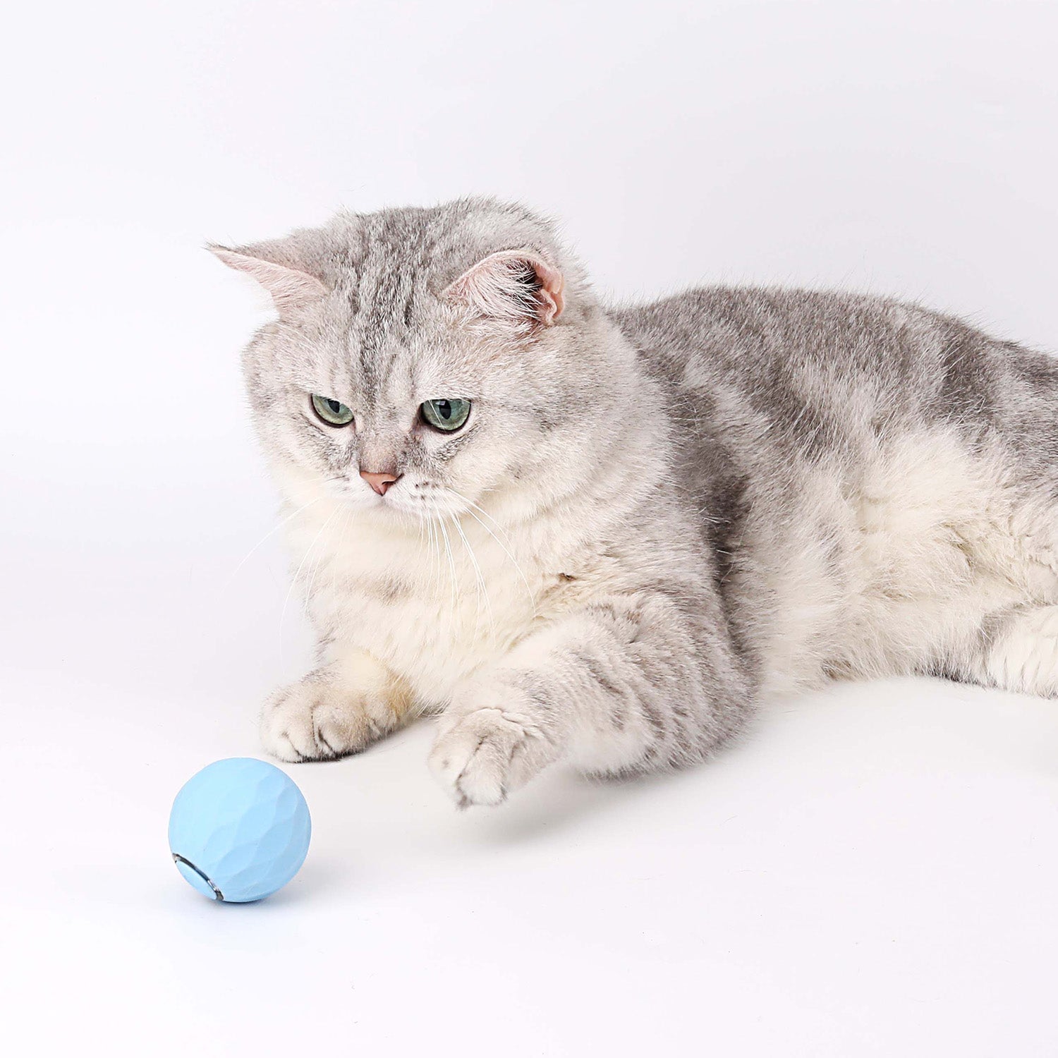 Katt leksak | Interaktivt självrullande boll