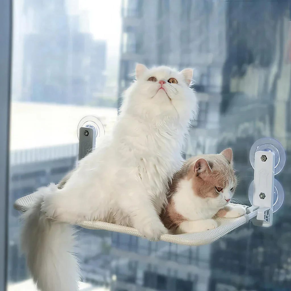 PurrNook – Fällbar Fönster katt-hängmatta med Lätt att rengöra överdrag och säker stöd