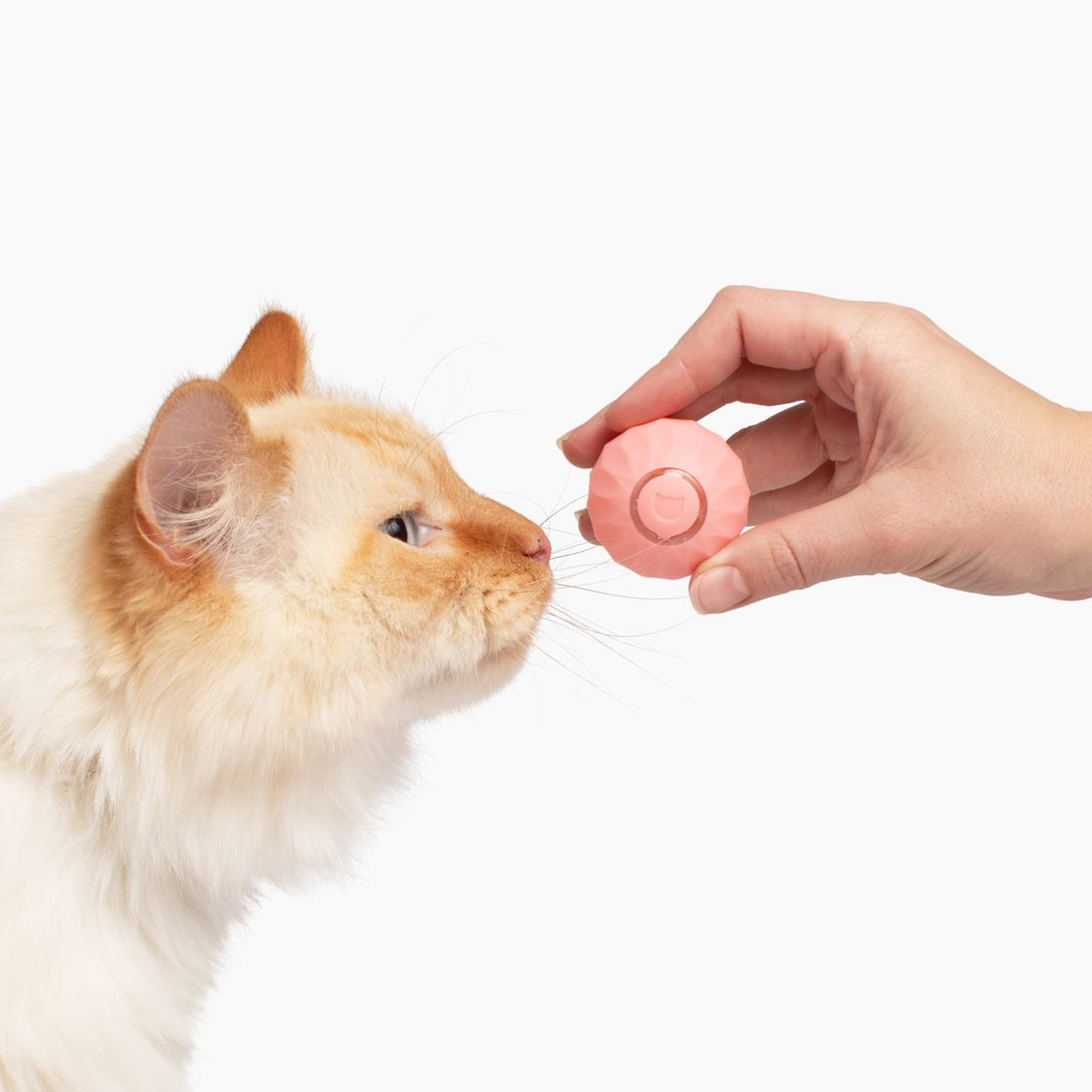 Katt leksak | Interaktivt självrullande boll