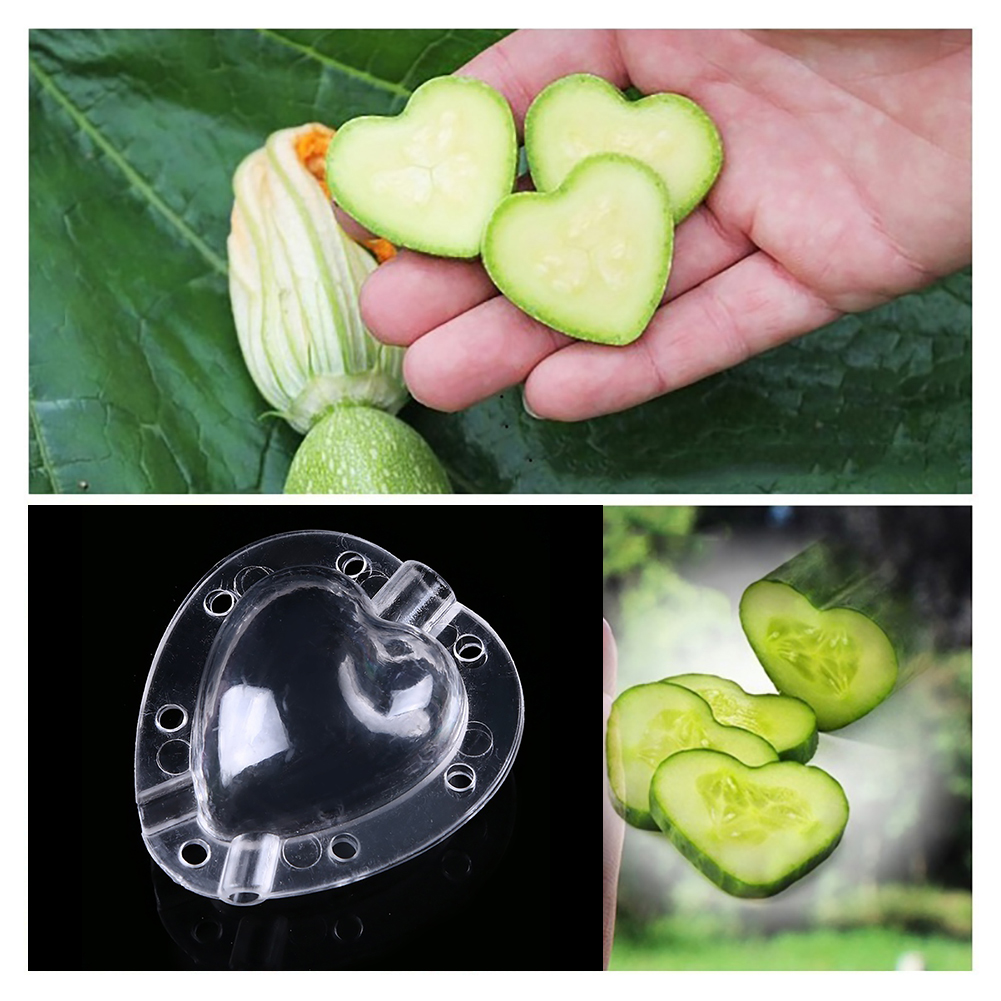 Hjärta form grönsaksform – Kreativ formskål för grönsaker och frukt