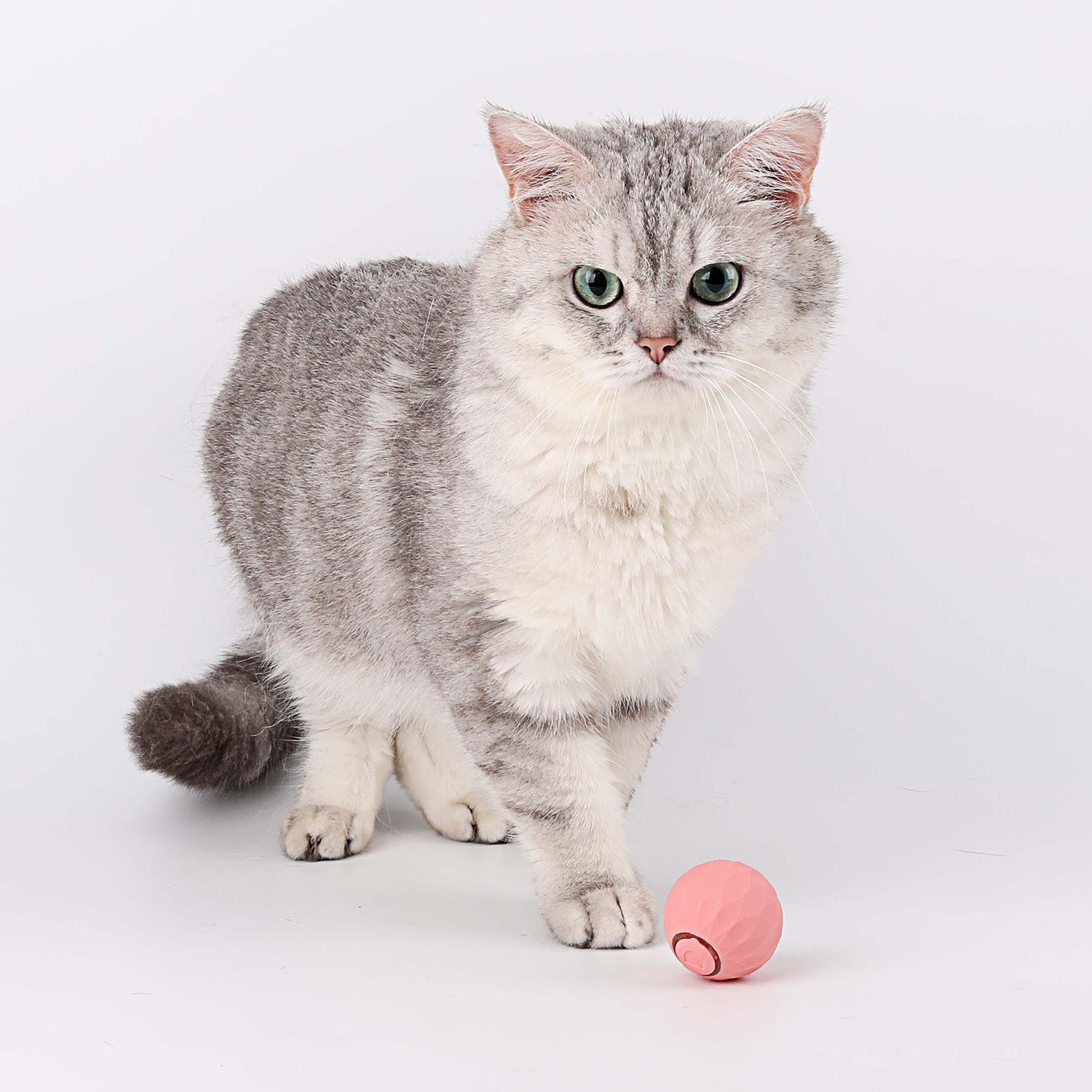 Katt leksak | Interaktivt självrullande boll