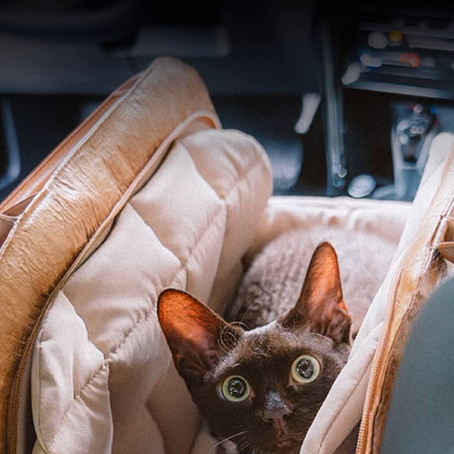 Bärbar Husdjurs Resväska – Lätt, Andningsbar & Säker för Små Husdjur