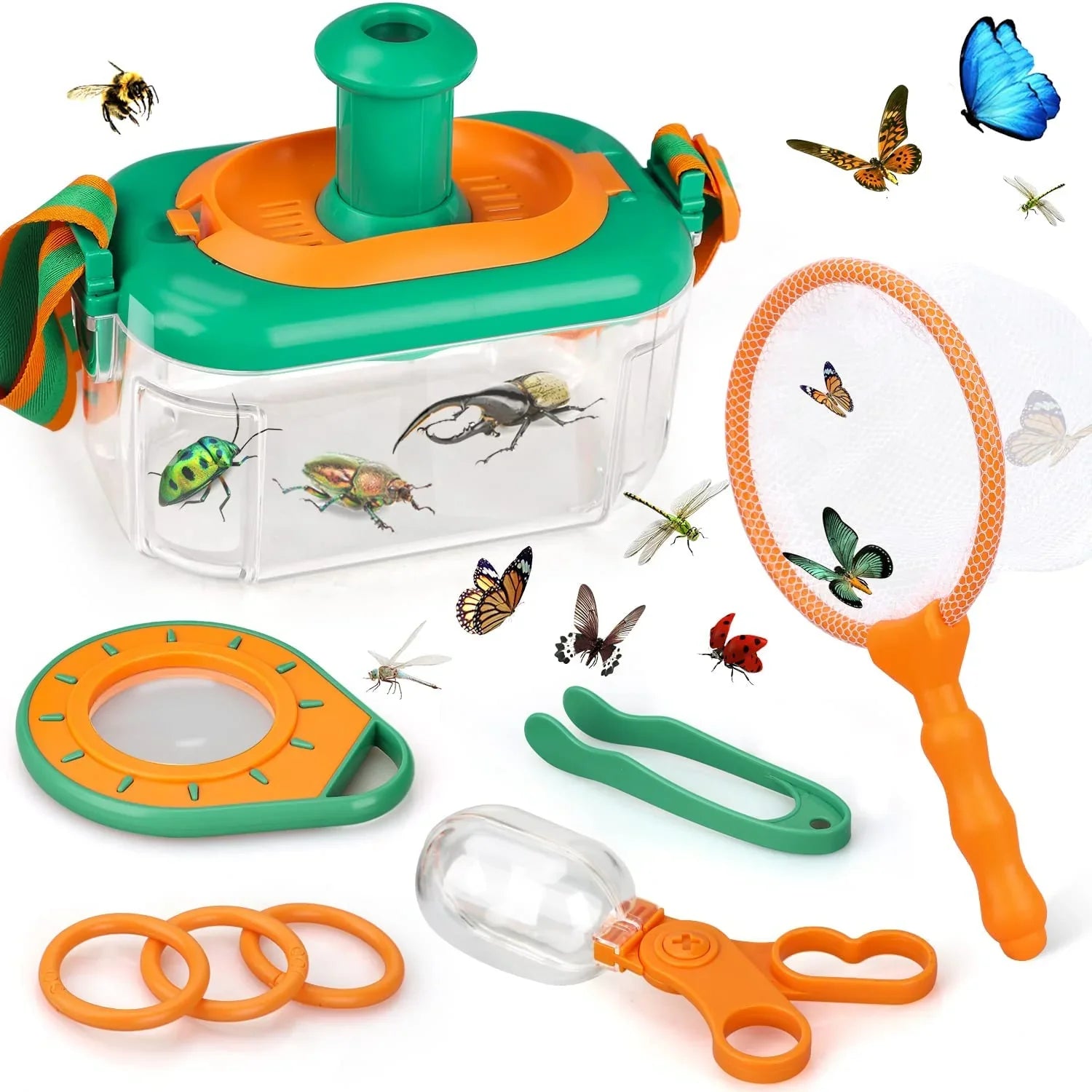 Naturutforskare Set | Insektsstudieset