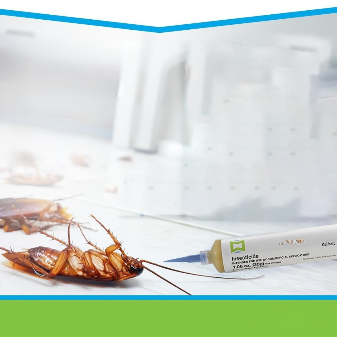 Pest Control Gel Säker Inomhus Kackerlacka Döda