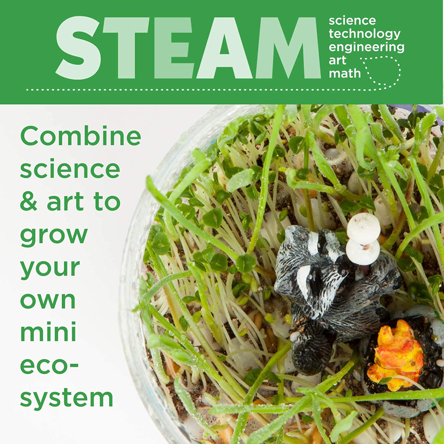 Plantas Växande Kit Färgglad Terrarium Sats