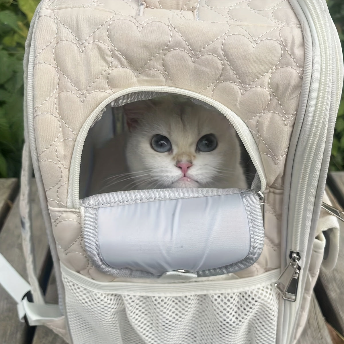 Kattbärande Ryggsäck - Stilig Djurresväska