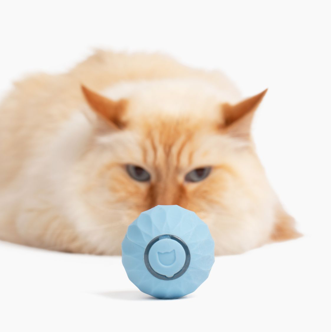 Katt leksak | Interaktivt självrullande boll