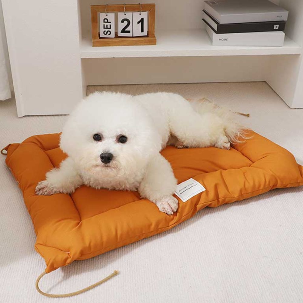 SnuggleNest Djurmatta