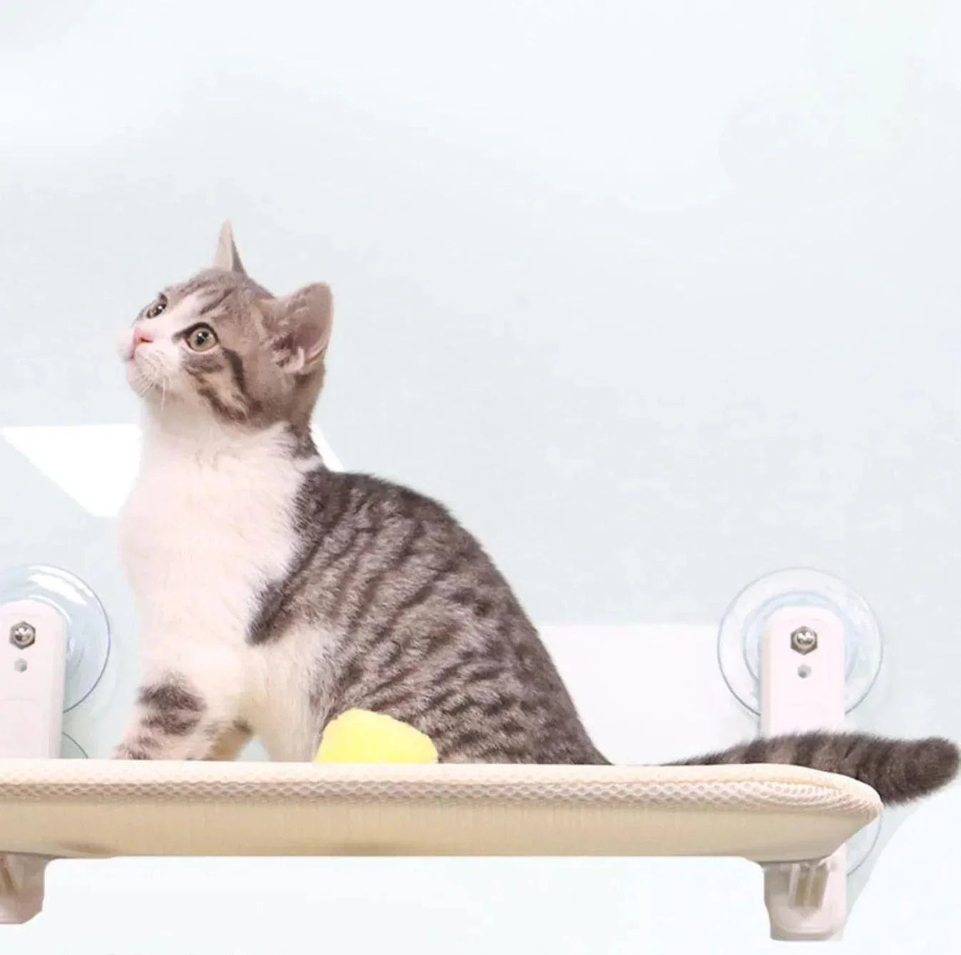 Cozy Cat Hammock – Bekväm Hängande Säng för Katter & Kattungar