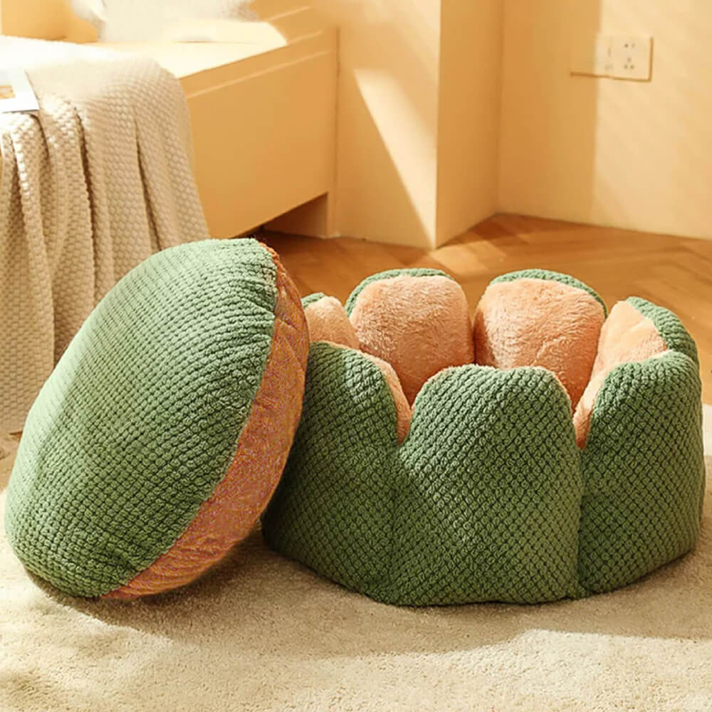 Kaktusformad Bekväm Husdjursbädd Mjuk Korallvelourdesign