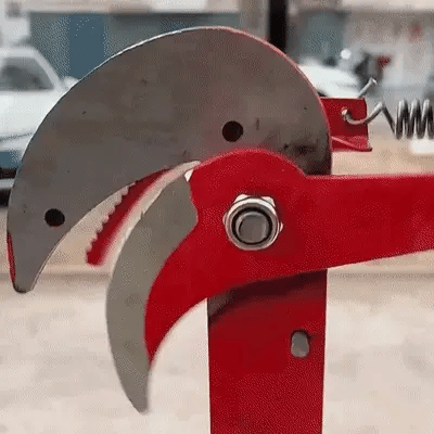 Carvallo – Risk-free cutting of high branches from the ground