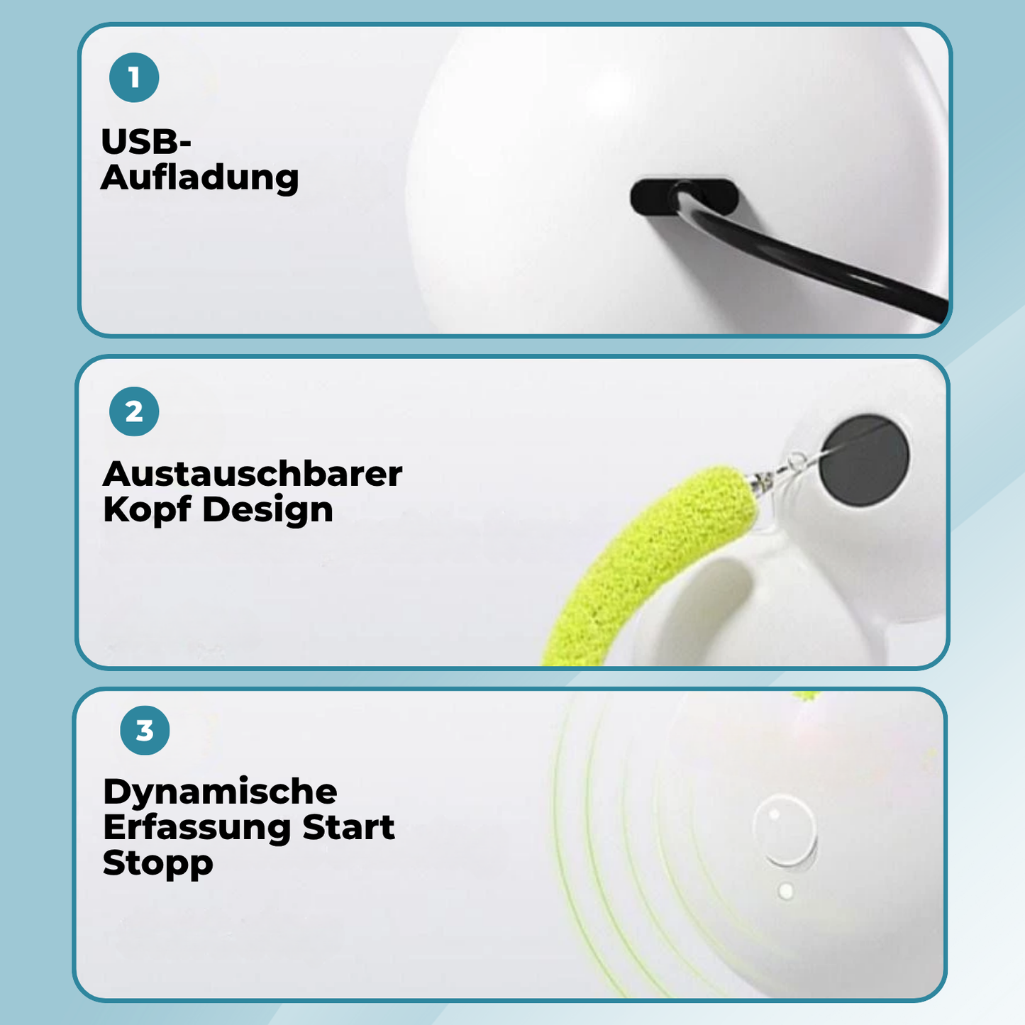 Carvallo – Jaga, leka, vara lycklig!