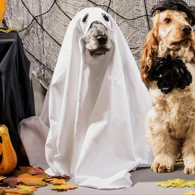 Ghost Dog Halloween-kostym