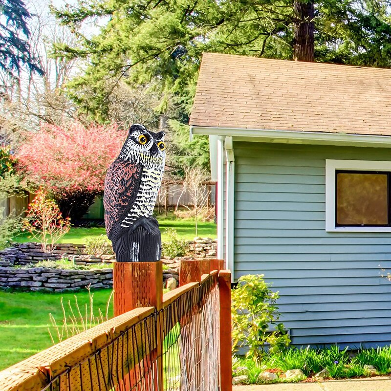 OwlGuard - Utomhus fågelavvisande ugletrappa för maximal skydd