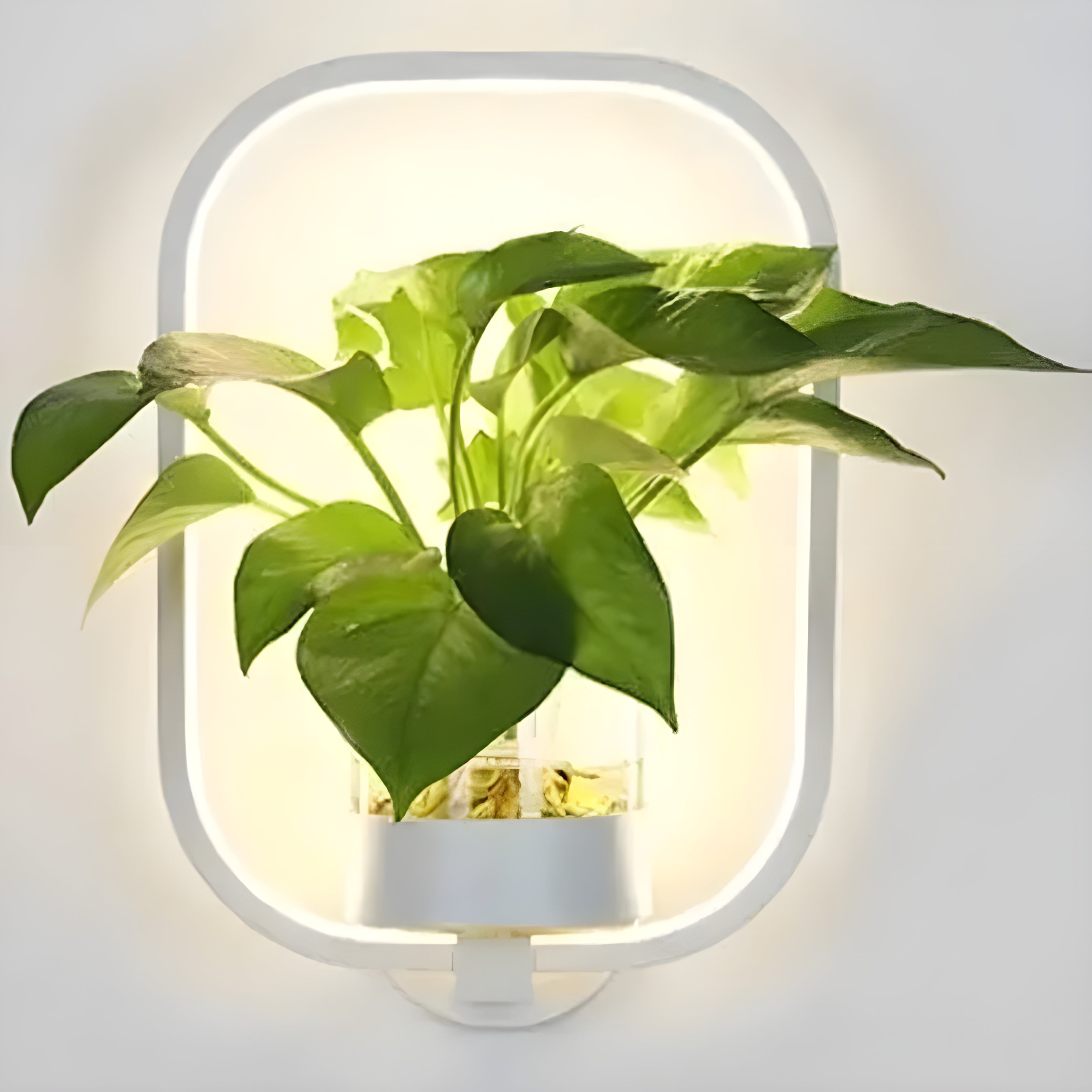 AisleBloom Light - Nordiska växt-LED-vägglampa