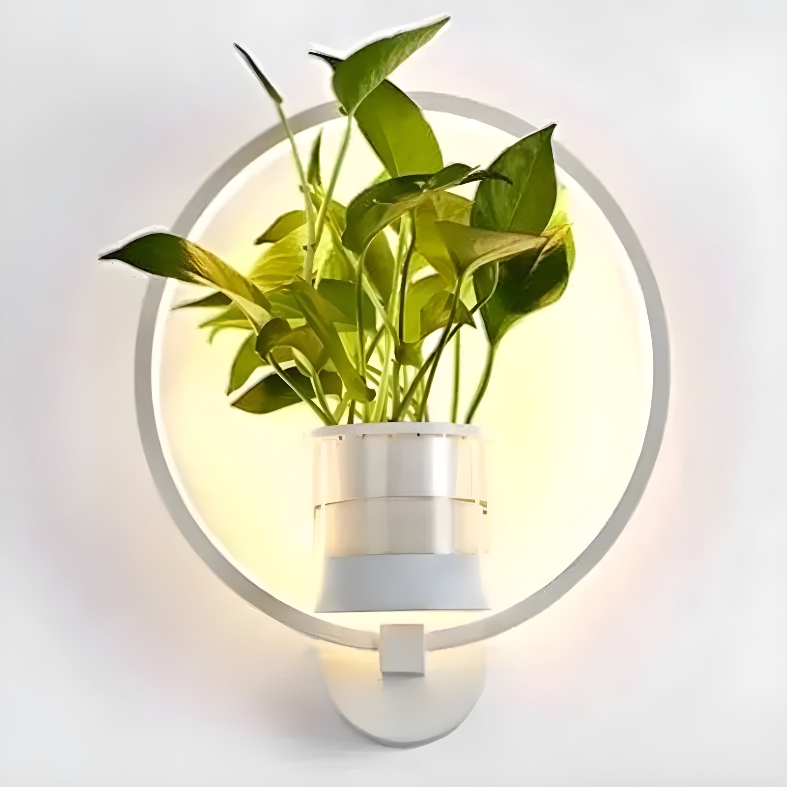 AisleBloom Light - Nordiska växt-LED-vägglampa