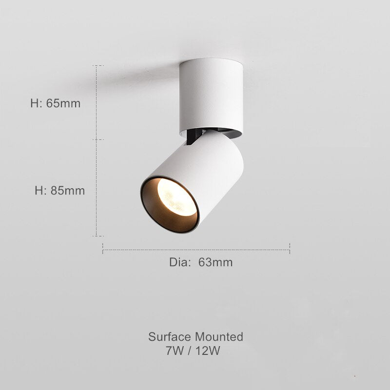 Justerbar Rund Ytmonterad Downlight för Mångsidig Belysning