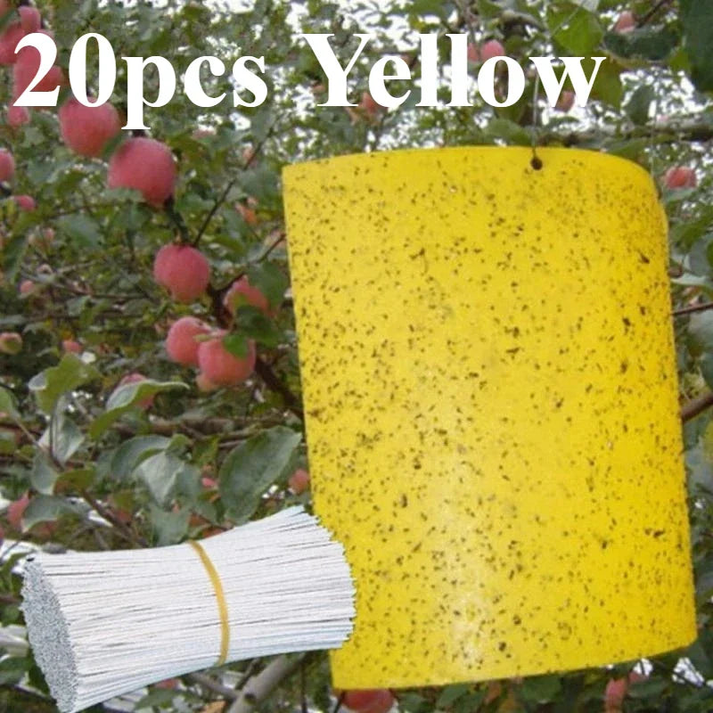 Carvallo Fruktflugefälla Gul | 20 stycken Dubbelsidiga | Giftfria & Miljövänliga | Klisterfällor för Insekter