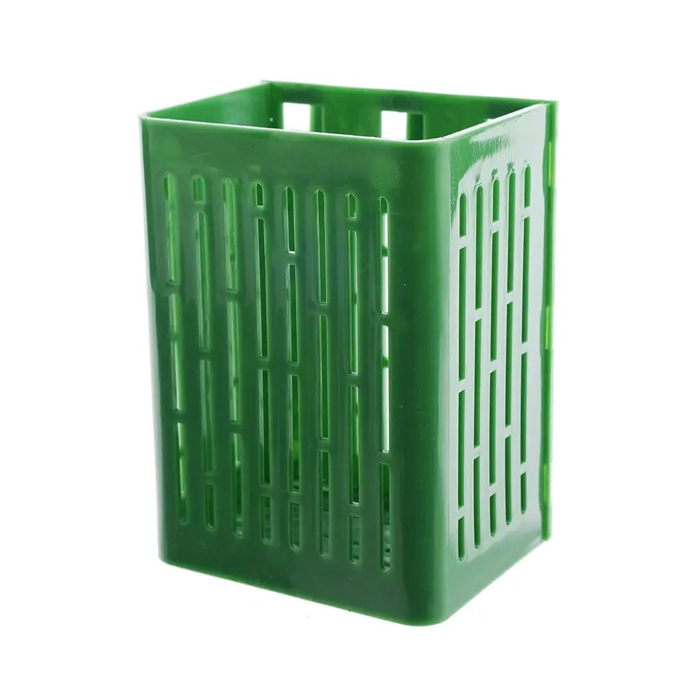 Carvallo | TankBloom – Naturlig skönhet utan vård!