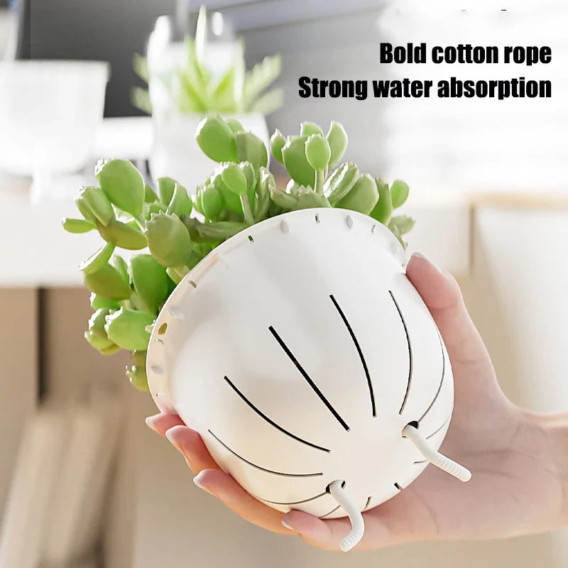 Carvallo Blomkruka | Självvattnande & Transparent | Dubbelväggig kruka för inomhusväxter & suckulenter