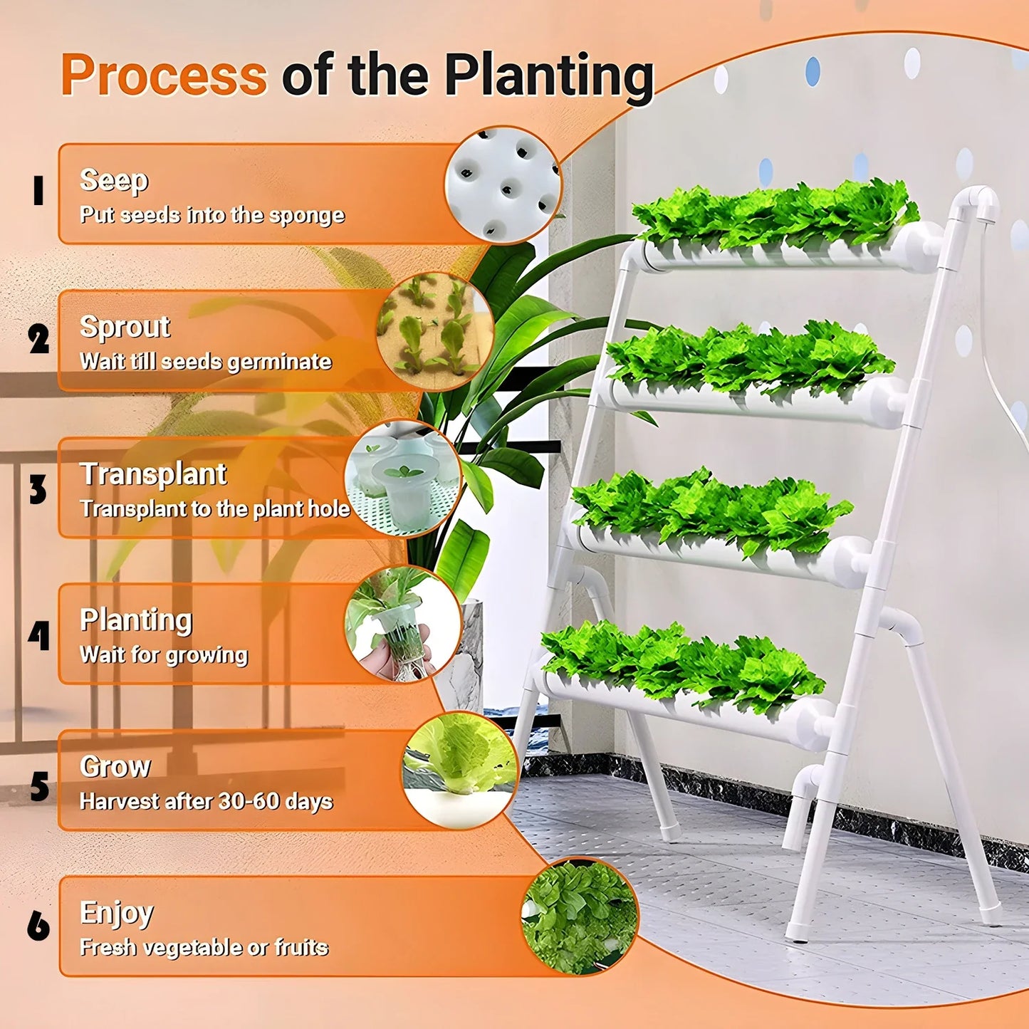 Carvallo | Hydroponic growing system with 36 planting spots | PVC pipeline for vegetables & herbs | Complete hydroponics set