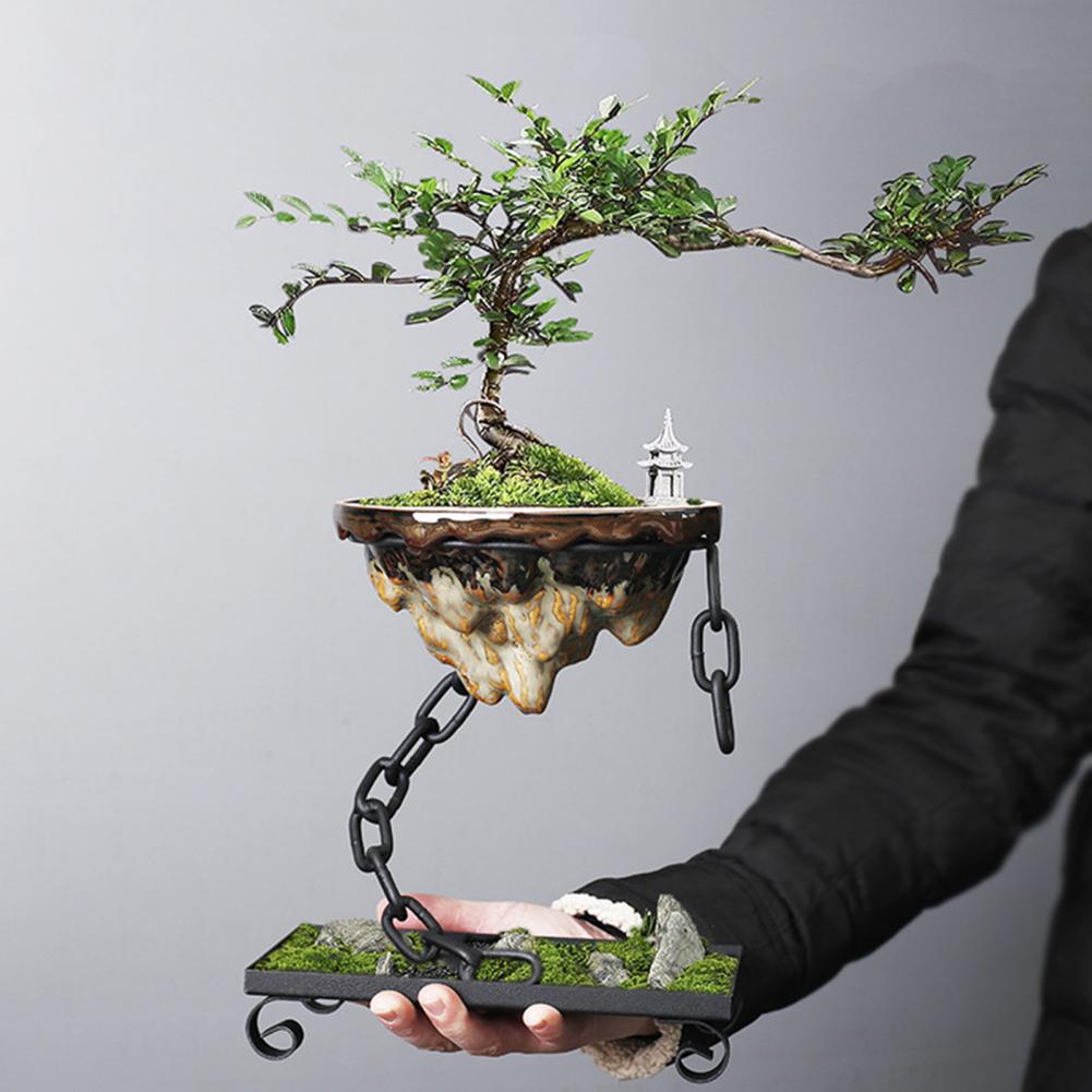 Planter Flytande Bonsai Hängande Display Skål