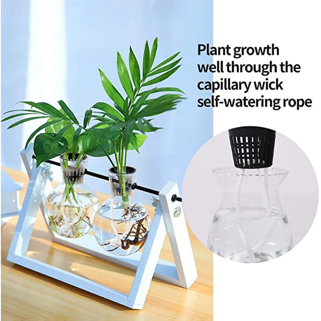 Carvallo Planter pot set Plantiva NetCup 25er set | Grid basket for hydroponics & aeroponics | Reusable & stable