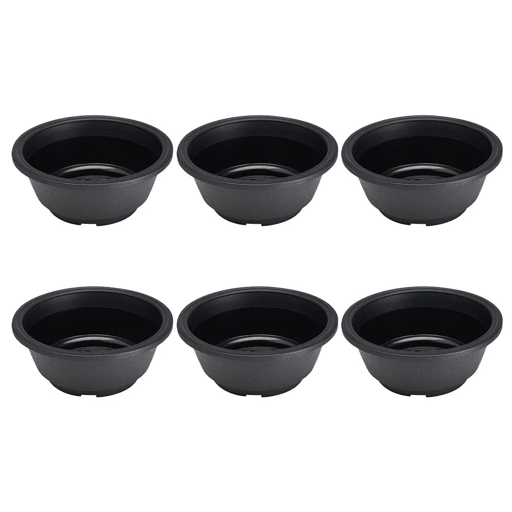 Carvallo Noir Blumentöpper i Koreansk stil | 6-pack | Robust & Dekorativ | Svart