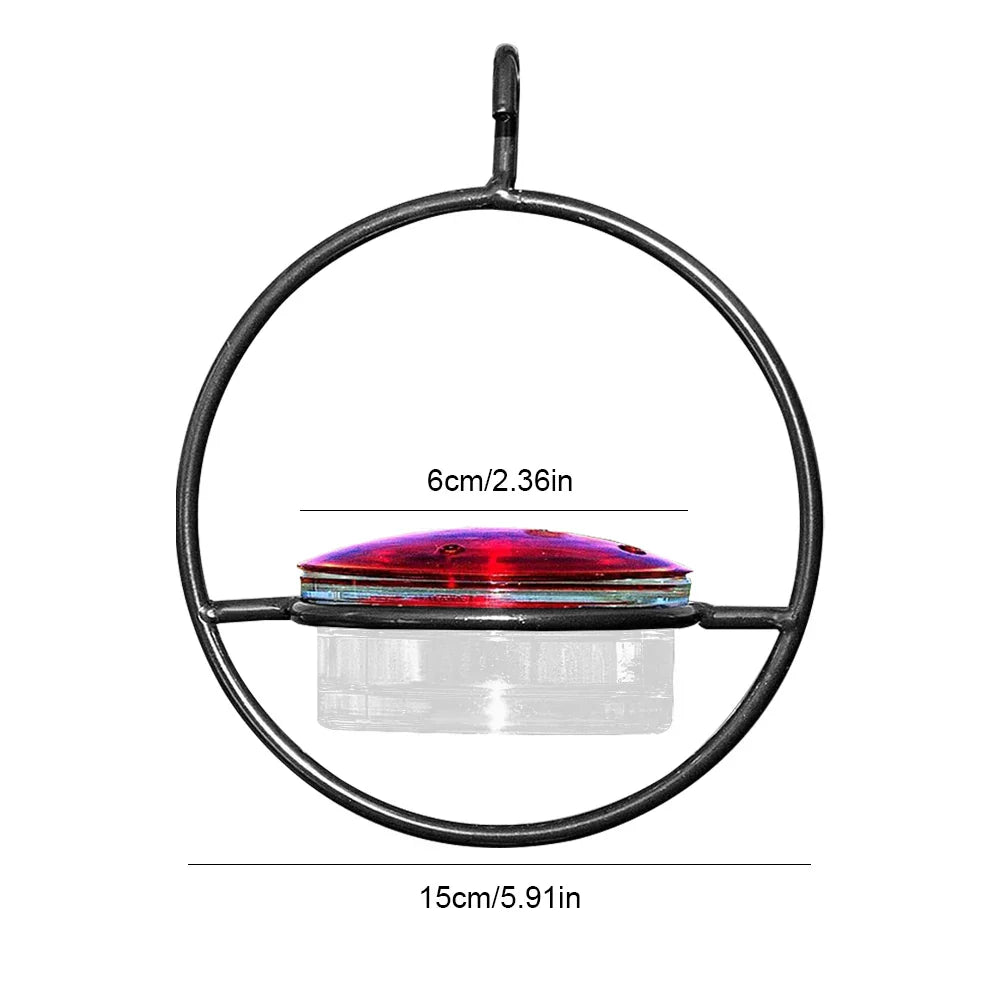 Carvallo – Locka kolibrier, utan kaos