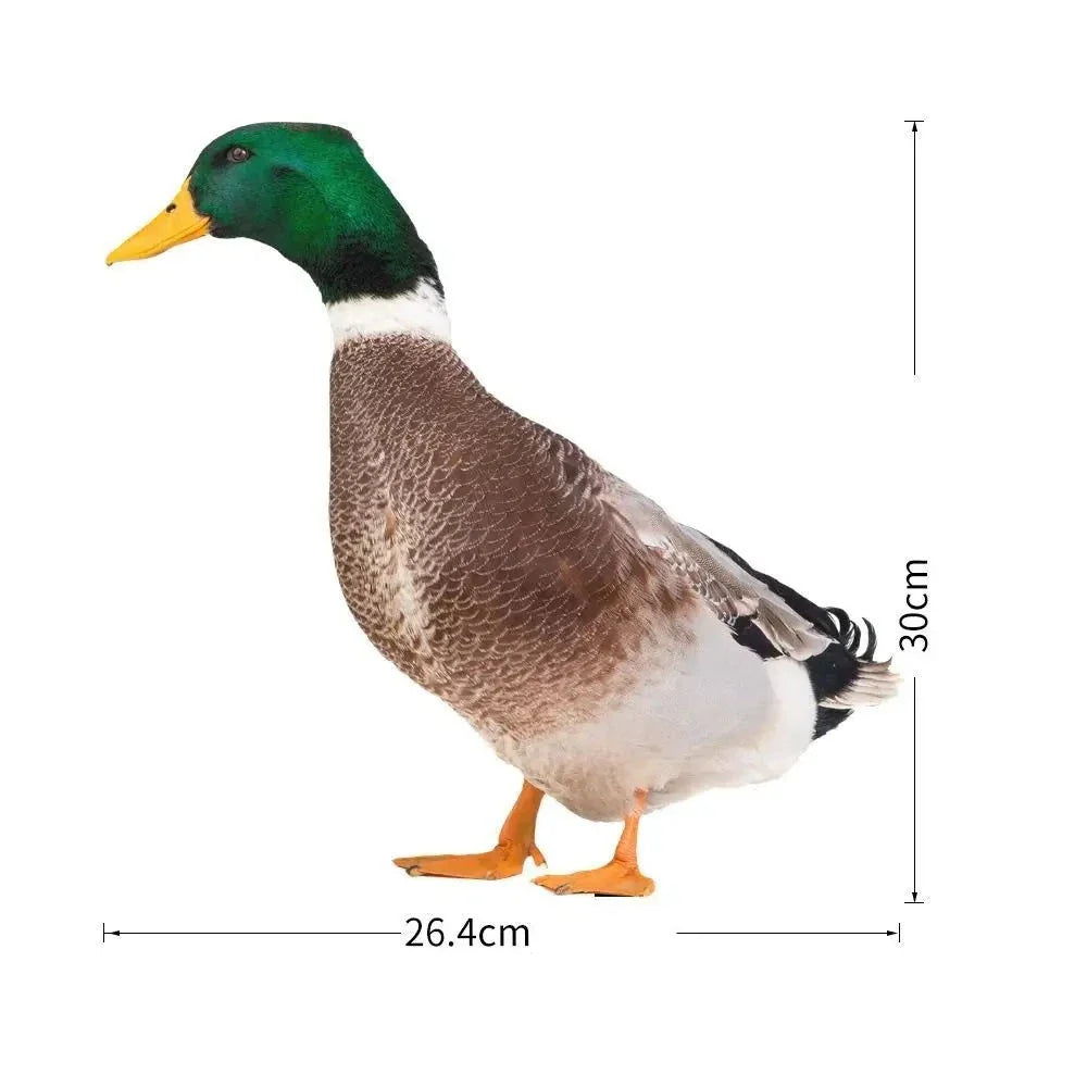 QuackCharm - Realistisk dubbelsidig gråand-skulptur för trädgårdsinredning