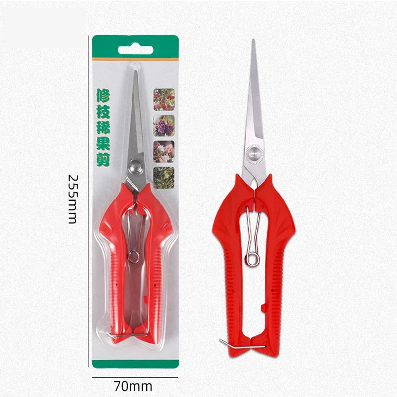 Carvallo Gräsklippare | Precisa klippning för fruktträd & bonsai | Ergonomisk & Vass | För skörd & beskärning