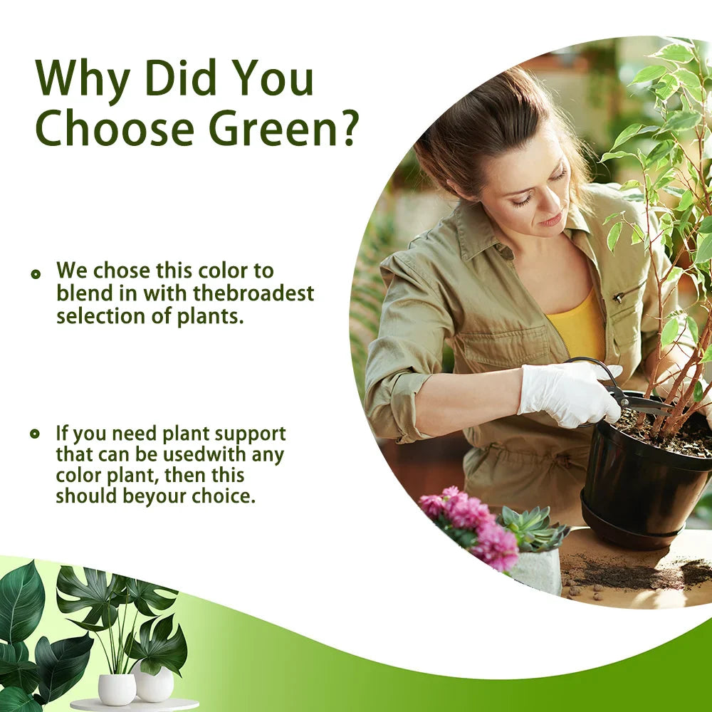 Carvallo växtstöd 3-pack | Stapelbar & Ästetisk | Naturlig look | För inomhus- & trädgårdsväxter