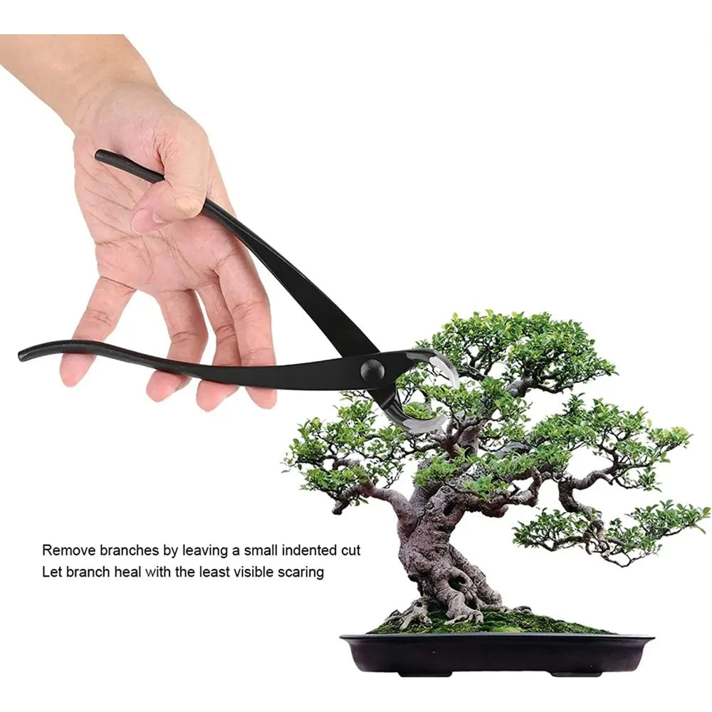 Carvallo Bonsai Konkavschneider 21 cm | Höghållfast kolfiberstål | För grenar, knoppar och utväxter